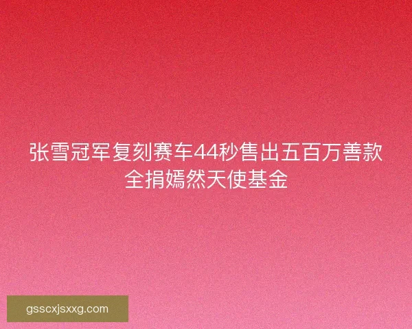 张雪冠军复刻赛车44秒售出五百万善款全捐嫣然天使基金 张雪冠军复刻赛车44秒售出五百万善款全捐嫣然天使基金