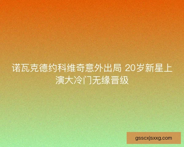 诺瓦克德约科维奇意外出局 20岁新星上演大冷门无缘晋级