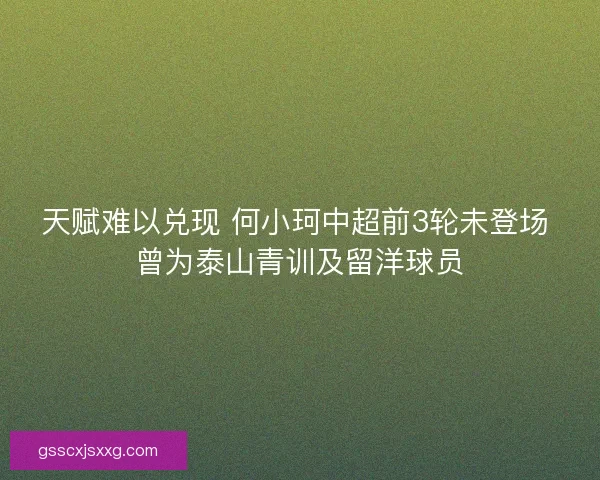 天赋难以兑现 何小珂中超前3轮未登场 曾为泰山青训及留洋球员